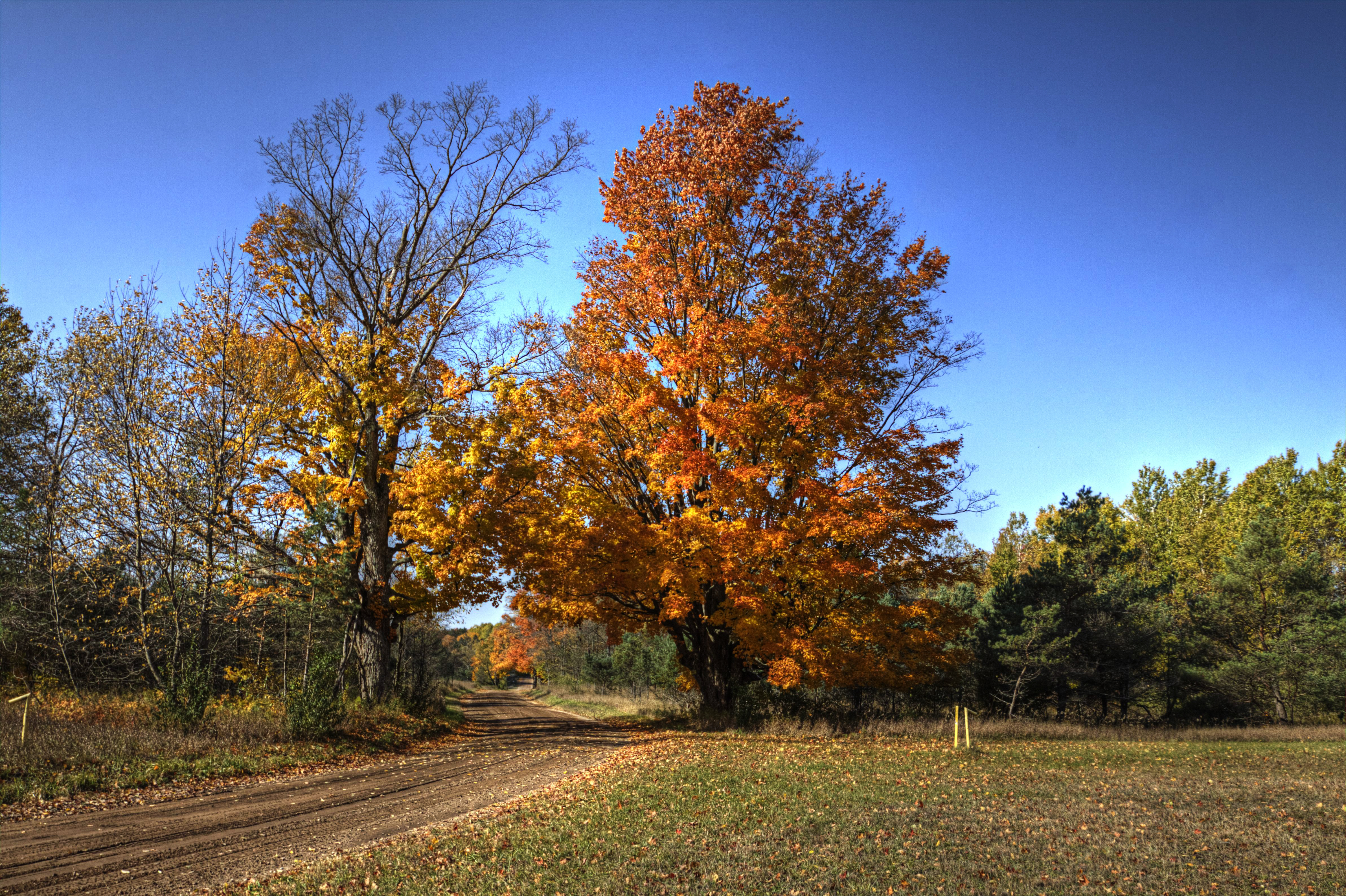 Herbst Landstraße